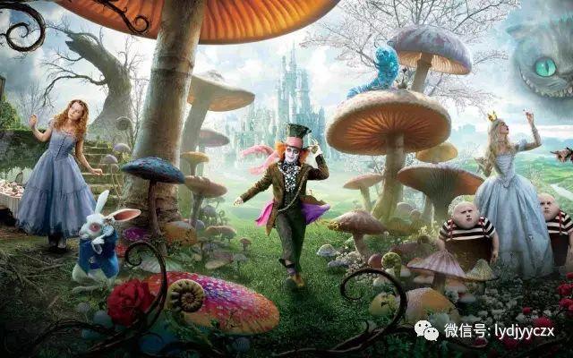 盘点洗衣机49分钟包括什么红迪网平台